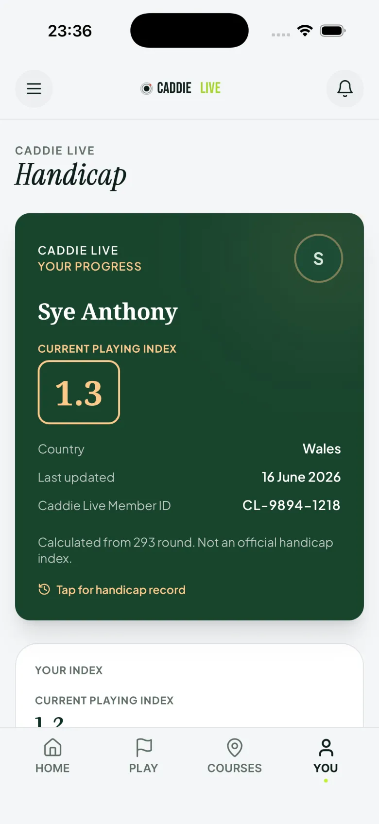 Digitale Caddie-Live-Spielerkarte mit Current Playing Index, Teilen- und PDF-Download-Optionen